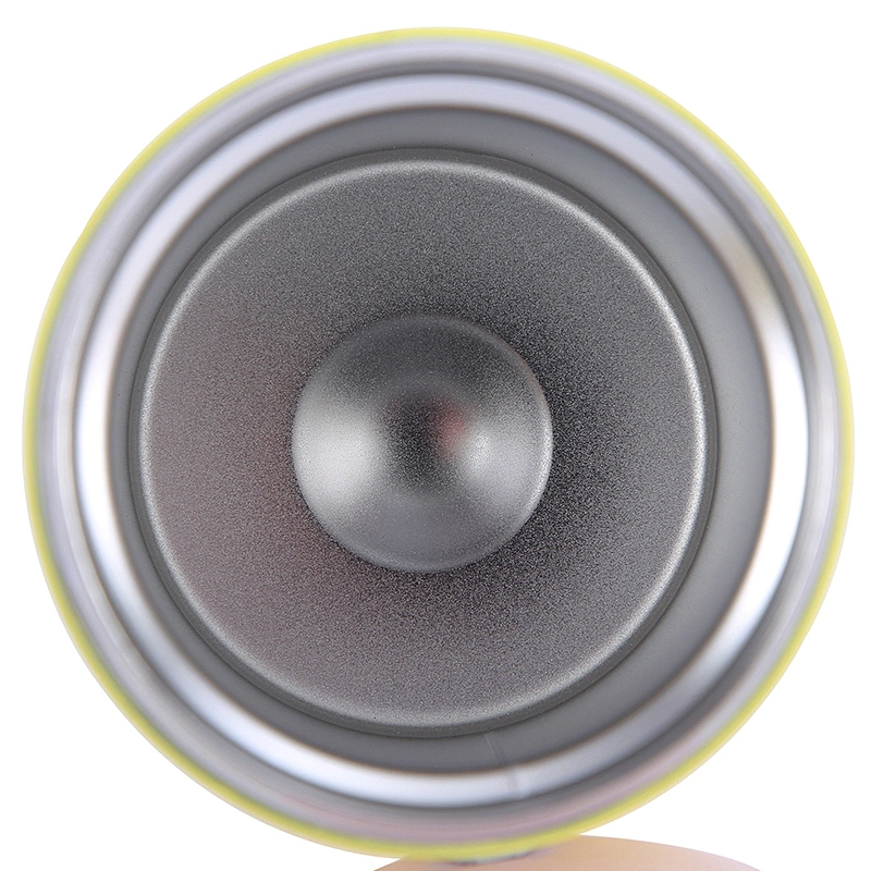 300ml 450ml vacuum insulated double wall stainless steel food flask with plastic lid and bottom