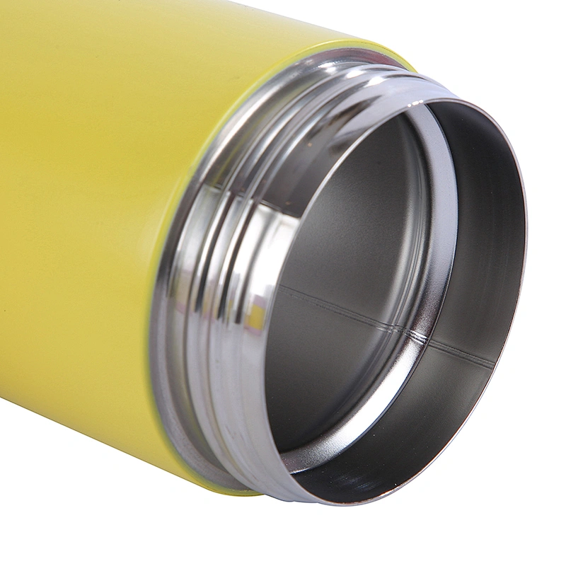 300ml 450ml vacuum insulated double wall stainless steel food flask with plastic lid and bottom